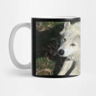 Wolf Mug